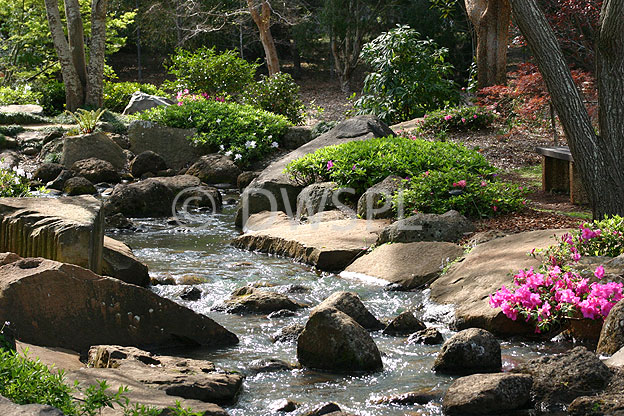 stock photo image: Australia, Qld, Queensland, toowoomba, great dividing range, garden, gardens, ju raku, ju raku en japanese garden, japanese garden, japanese gardens, creek, creeks, rock, rocks, stream, streams.