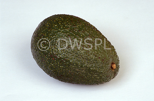 stock photo image: Food, Fruit, Avocado, Avocados, Persea, Persea americana syn gratissima, avocadoes, Agriculture, ryan avocado, ryan avocados.