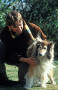 Animal, animals, dog, dogs, domestic, domestic dog, domestic dogs, pet, pets, collie, collies, man, men, male, males, outdoors, Australia, Sport pictures, Sports, balloon images, hot air balloons