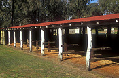 Australia, queensland, qld, wondai, horse, horses, stable, stables, roof, roofs, rooves.