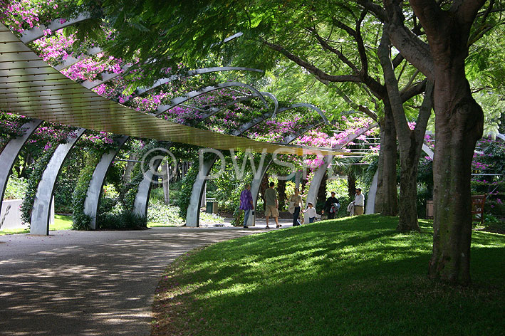 stock photo image: Australia, qld, queensland, brisbane, southbank, garden, gardens, southbank gardens, arbour, arbours, energex abour, footpath, footpaths, path, paths, pathway, pathways, walkway, walkways.