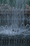Australia, Water, fountain, fountains, running water.