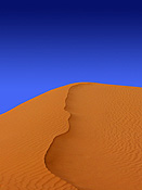Australia, desert, deserts, australian desert, australian deserts, dune, dunes, sand dune, sand dunes, outback, australian outback, outback australia, DFF, DFFDESERTS, Romeo,