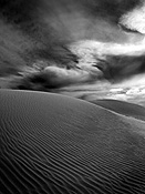 Australia, desert, deserts, australian desert, australian deserts, dune, dunes, sand dune, sand dunes, outback, australian outback, outback australia, Romeo,