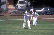 Australia, australian, people, Sport pictures, Sports, cricket, cricket game, cricket games, man, men, male, males, outdoors.