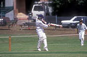 Australia, australian, people, Sport pictures, Sports, cricket, cricket game, cricket games, man, men, male, males, outdoors.