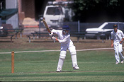 Australia, australian, people, Sport pictures, Sports, cricket, cricket game, cricket games, man, men, male, males, outdoors.