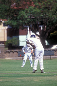 Australia, australian, people, Sport pictures, Sports, cricket, cricket game, cricket games, man, men, male, males, outdoors.