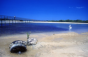Australia, New South Wales, Urunga, Urunga lagoon, lagoon, lagoons, tide, tides, tidal, low tide, low tides, water, water scene, water scenes, coast, coasts, coastal, coastline, coastlines, seashore, seashores, shoreline, shorelines, water, jetty, jetties, pier, piers, pelican, pelicans, tyre, tyres, barnacle, barnacles, polution, water pollution.