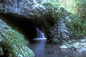 Australia, qld, queensland, springbrook, great dividing range, springbrook national park, National Park, National Parks, natural bridge, waterfall, waterfalls, running water, waterscene, waterscenes, water scene, water scenes, water, natural bridge.