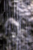 Australia, qld, queensland, springbrook, great dividing range, springbrook national park, National Park, National Parks, blackfellows, blackfellows falls, waterfall, waterfalls, running water, waterscene, waterscenes, water scene, water scenes, water.