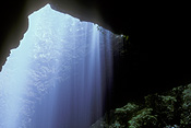 Australia, qld, queensland, springbrook, great dividing range, springbrook national park, National Park, National Parks, natural bridge, waterfall, waterfalls, running water, waterscene, waterscenes, water scene, water scenes, water, natural bridge.