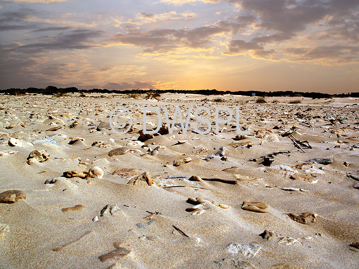 stock photo image: Israel, israeli, jewish, middle east, desert, deserts, sand, cloud, clouds, EK14,