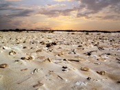 Israel, israeli, jewish, middle east, desert, deserts, sand, cloud, clouds, EK14,
