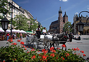 Poland, Cracow, krakow, architecture, church, churches, religion, religious, religious building, religious buildings, st mary, saint mary, church of st mary, church of saint mary, saint, saints, horse, horses, animal, animals, carriage, carriages, horse and carriage, FF25,