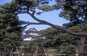 Asia, japan, tokyo, imperial palace, palace, palaces, kokyo, koyo gaien, nijubashi, meganebashi, eyeglass bridge, bridge, bridges, architecture, tree, trees, SS46