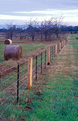Australia, New South Wales, hawkesbury, hawkesbury area, hawkesbury region, hawkesbury district, Hawkesbury Valley, Rural, Rural Scene, Rural Scenes, Agriculture, farm, farms, Farming, Farmland, farm, farms, hay, bale, bales, baler, balers, hay bale, hay bales, crop, crops, straw, straw bale, straw bales.