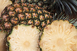 SLICED PINEAPPLES (ANANAS COMOSUS)