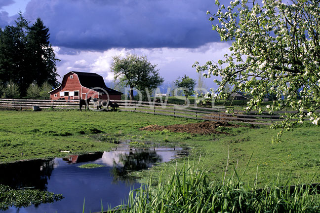 stock photo image: Canada, british columbia, langsley, fort, forts, langsley, fort langsley, rural, rural scene, rural scenes, barn, barns, horse, horses, fence, fences, cloud, clouds, water, RW59,