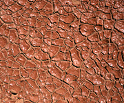 Australian outback, Desert scenes, drought conditions, dried mud, cracked mud patterns