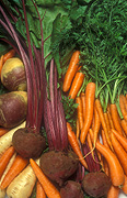 Vegetable, vegetables, mixed, mixed vegetables, turnip, turnips, parsnip, parsnips, beetroot, beetroots, carrot, carrots.
