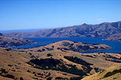 Pacific islands, new zealand, nz, south island, akaroa, banks, banks peninsula, volcanoe, volcanoes, crater, craters, coast, coasts, coastal, coastline, coastlines.
