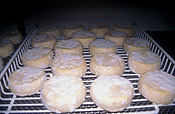 Australia, qld, queensland, gympie, cheese, rack, racks.