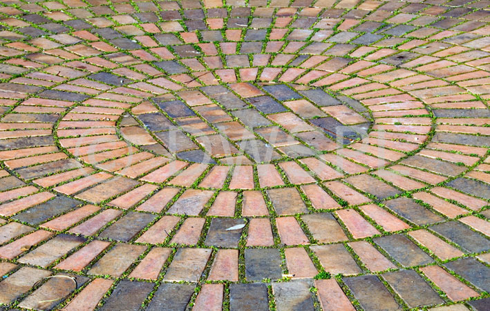 stock photo image: Garden, gardens, paver, pavers, paving, paving stone, paving stones, sandstone, pattern, patterns, footpath, footpaths, footpath, footpaths, path, paths, pathway, pathways.