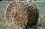 Australia, SA, South Australia, Moana, Rural, Rural Scene, Rural Scenes, Agriculture, farm, farms, Farming, Farmland, farm, farms, hay, bale, bales, baler, balers, hay bale, hay bales, crop, crops, straw, straw bale, straw bales.