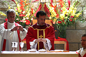 Religion, religions, religious, religious building, religious buildings, catholic, catholics, catholic religion, roman catholic, roman catholics, roman catholic church, roman catholicism, christianity, christian, christians, faith, spirituality, worship, worships, worshipping, people, man, men, male, males, catholic church, catholic churches, interior, interiors, mass of ordination, ordination, ordinate, ordinates, seminarian, seminarians, consecrate, consecrates, consecrating, mass, eucharist, eucharists, eucharistic rite, eucharistic rites, sacrament, sacraments, holy sacrament, sacramental wine, consecrated wine, MM49,