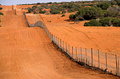 Australia, Australian, Australian desert, Australian deserts, desert, deserts, desert scenes, pest, pests, dingo, dingos, dingoes, dog, dogs, fence, fences, dingo, dingo fence, dog fence, wild, wild dog, wild dogs, feral, feral animal, feral animals, feral dog, feral dogs, native dog, native dogs, fence, fences, dingo fence, outback, australian outback, outback australia, Queensland, Qld, wire fence, wire fences.