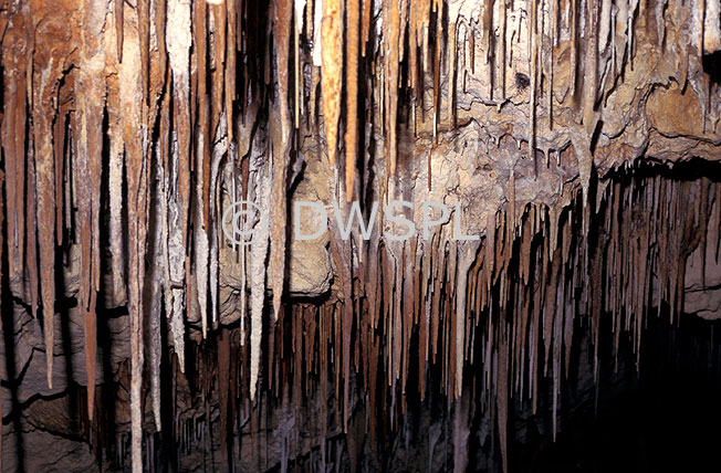 stock photo image: Australia, Sa, South australia, Kangaroo Island, Cave, Caves, Kelly hill, kelly hill caves, kelly hill conservation park, conservation park, conservation parks.