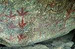 Australia, New South Wales, Yarrowyck, Mount Yarrowyck, Mount Yarrowyck Nature Reserve, rock art, rock painting, rock paints, aboriginal rock painting, aboriginal rock paintings, aboriginal, aboriginals, aborigine, aborigines, sacred, sacred site, sacred sites, rock, rocks, cave painting, cave paintings, aboriginal cave painting, aboriginal cave paintings, cave, caves.