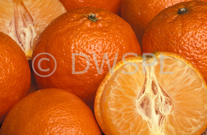 stock photo image: Fruit, citrus fruit, citrus, citrus fruits, citrus hybrid, citrus hybrids, clementine, clementines, tangelo, tangelos, mandarin, mardarins, nova.