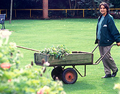 Gardener, gardeners, gardening, woman, women, female, females, outdoors, wheelbarrow, wheelbarrows, Australia, Sport pictures, Sports, balloon images, hot air balloons