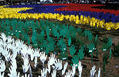 Australia, south Australia, SA, adelaide, rymill park, pattern, patterns, reconcile, reconciliation, Australian artists against racism, AAAR, Native title and reconciliation, native title, native titles, ANTAR, aboriginal, aboriginals, aborigine, aborigines, racism, racist, hand, hands, sea of hands, indigenous, indigenous people, indigenous australians, torres strait islanders.