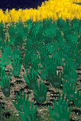 Australia, south Australia, SA, adelaide, rymill park, pattern, patterns, reconcile, reconciliation, Australian artists against racism, AAAR, Native title and reconciliation, native title, native titles, ANTAR, aboriginal, aboriginals, aborigine, aborigines, racism, racist, hand, hands, sea of hands, indigenous, indigenous people, indigenous australians, torres strait islanders.